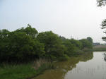 resize2118.jpg