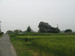 resize2104.jpg