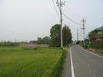resize2114.jpg