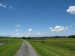 resize2829.jpg