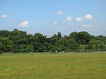 resize2828.jpg