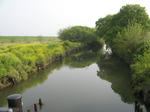 resize2125.jpg