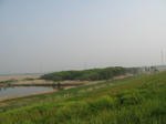 e333b4c8.jpg