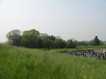 resize2151.jpg