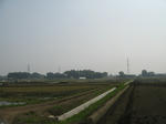 resize2152.jpg