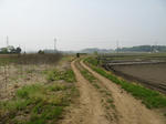 resize2161.jpg