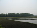 resize2162.jpg
