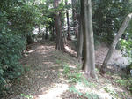 resize2179.jpg