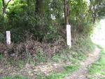 resize2192.jpg