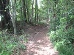 resize2196.jpg