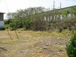 resize2221.jpg