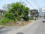 resize2227.jpg