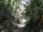 resize2237.jpg