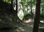 resize2240.jpg
