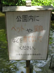 resize3066.jpg