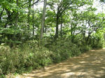 resize2271.jpg
