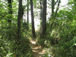 resize2269.jpg