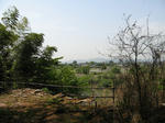 resize2270.jpg