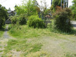 resize2274.jpg