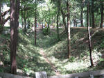 resize2285.jpg