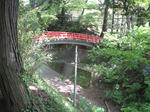 resize2291.jpg