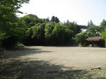 resize2350.jpg