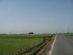 resize2360.jpg