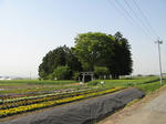 resize2363.jpg