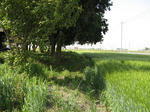resize2371.jpg