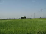 a80937d8.jpg