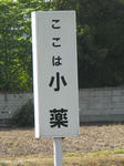 resize2377.jpg