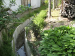 resize2381.jpg