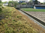 resize2390.jpg