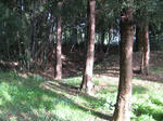 resize2404.jpg