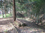 resize2408.jpg
