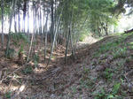resize2406.jpg