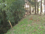 resize2425.jpg