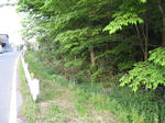 resize2430.jpg