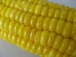 resize3230.jpg