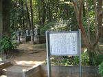 resize3250.jpg