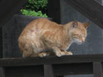 resize3378.jpg