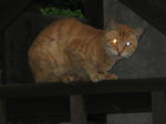 resize3380.jpg