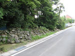 resize3387.jpg