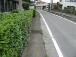 resize3394.jpg