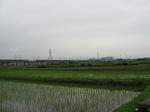 resize3397.jpg