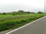 resize3405.jpg