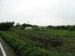resize3406.jpg