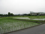 resize3415.jpg
