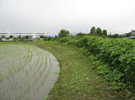resize3418.jpg
