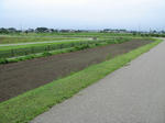 resize3442.jpg